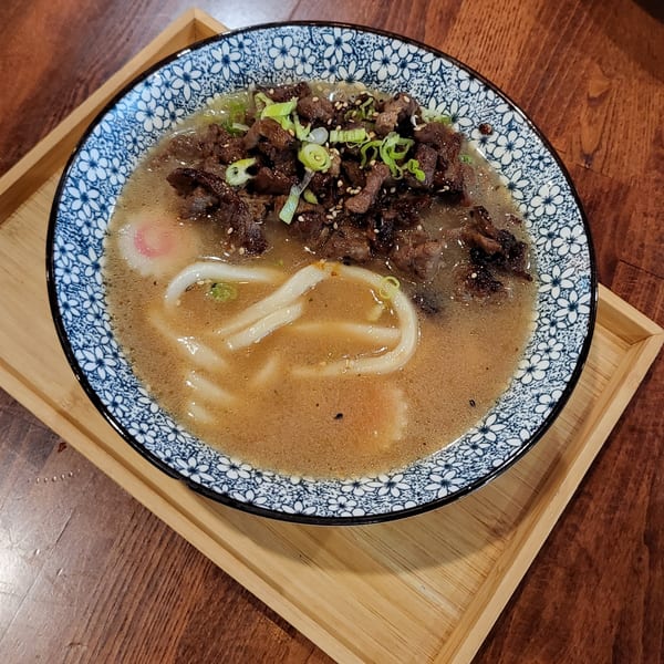 Udon noodle soup with sliced beef, green onions, and sesame seeds in a floral bowl.